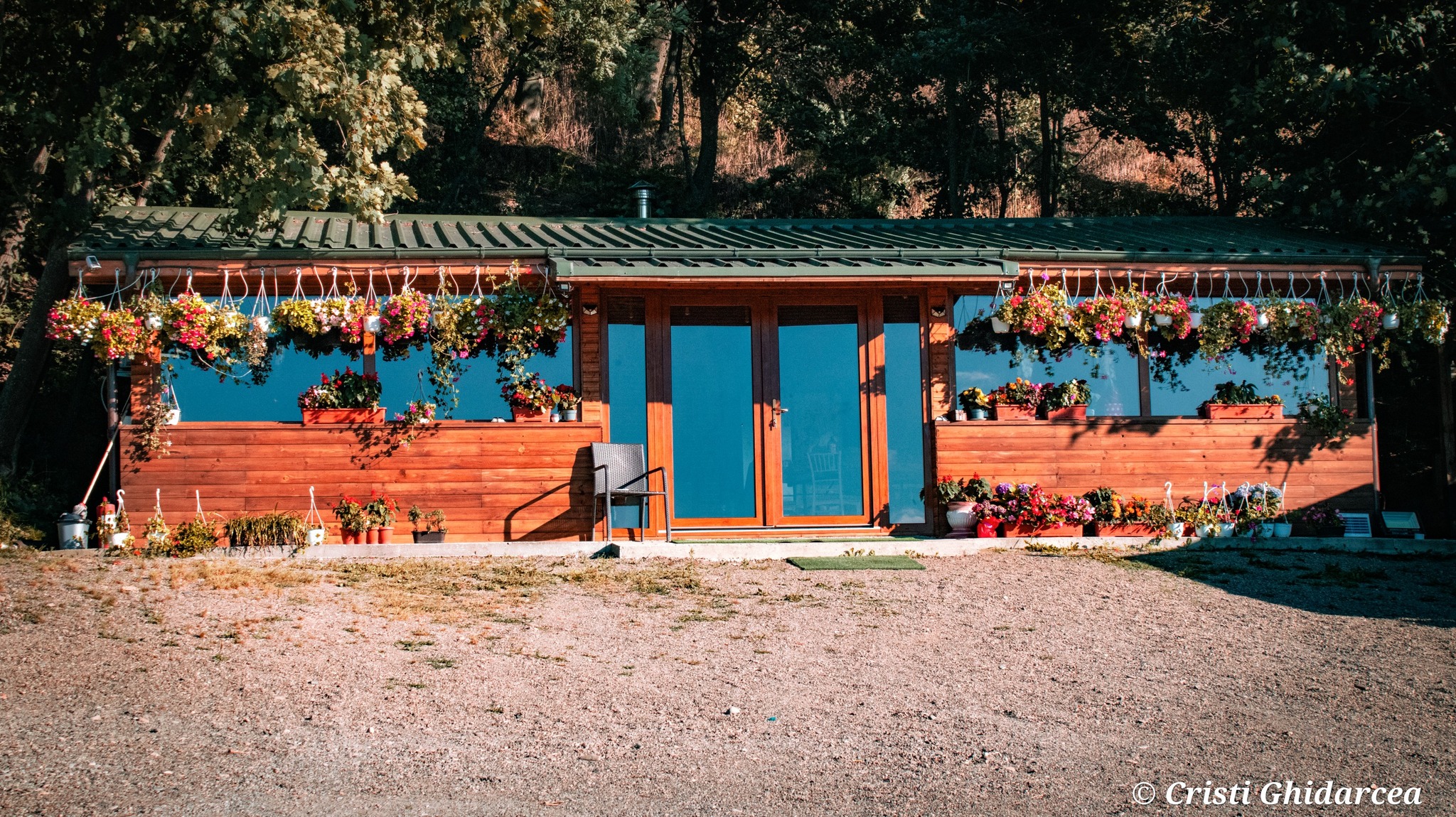 domeniul stejaru 1 (18)