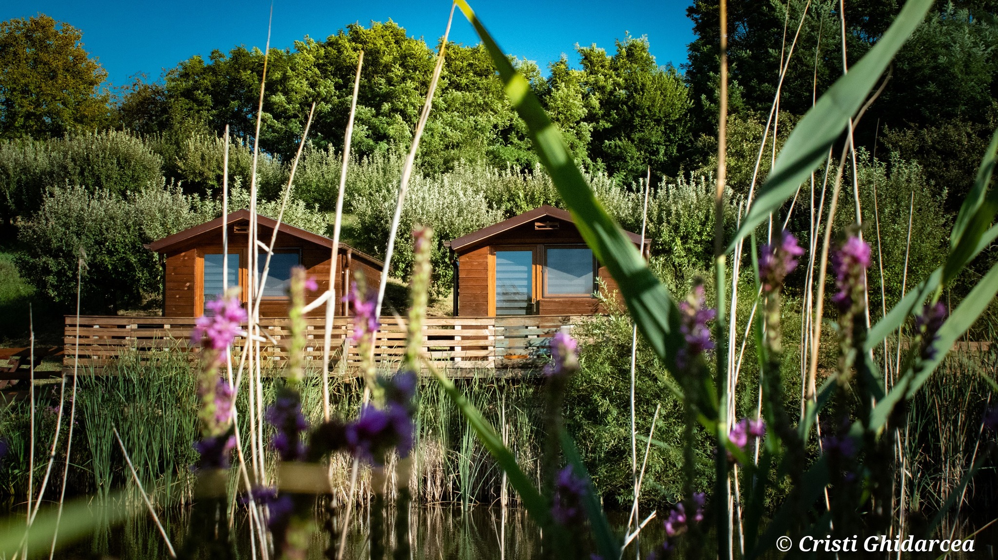 domeniul stejaru 1 (21)