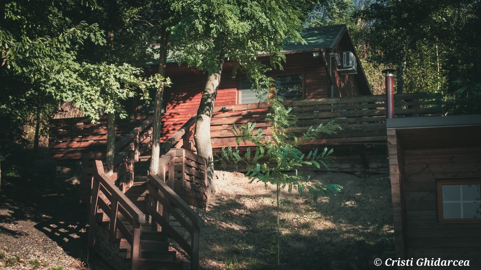 domeniul stejaru 1 (23)