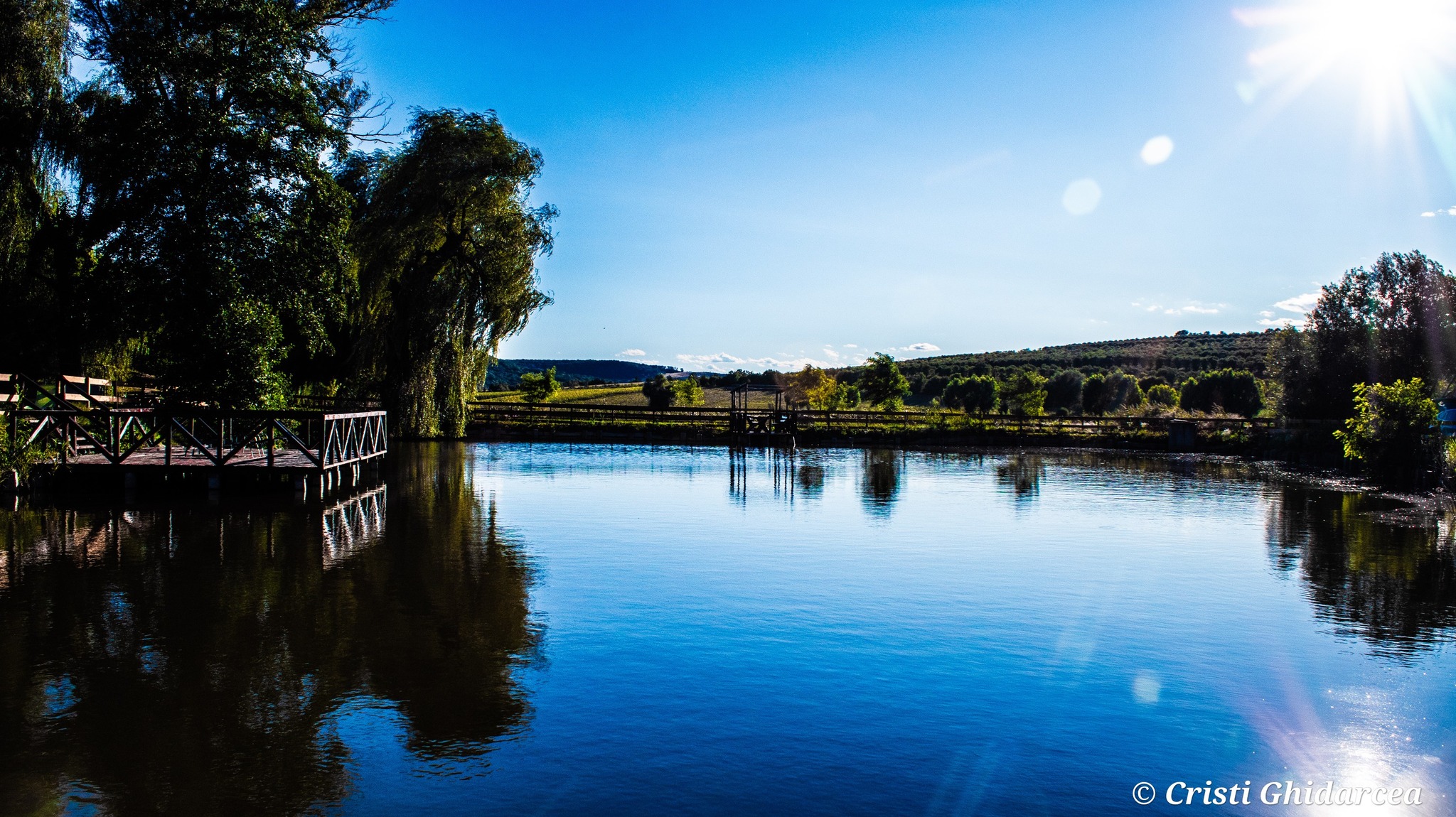 domeniul stejaru 1 (26)