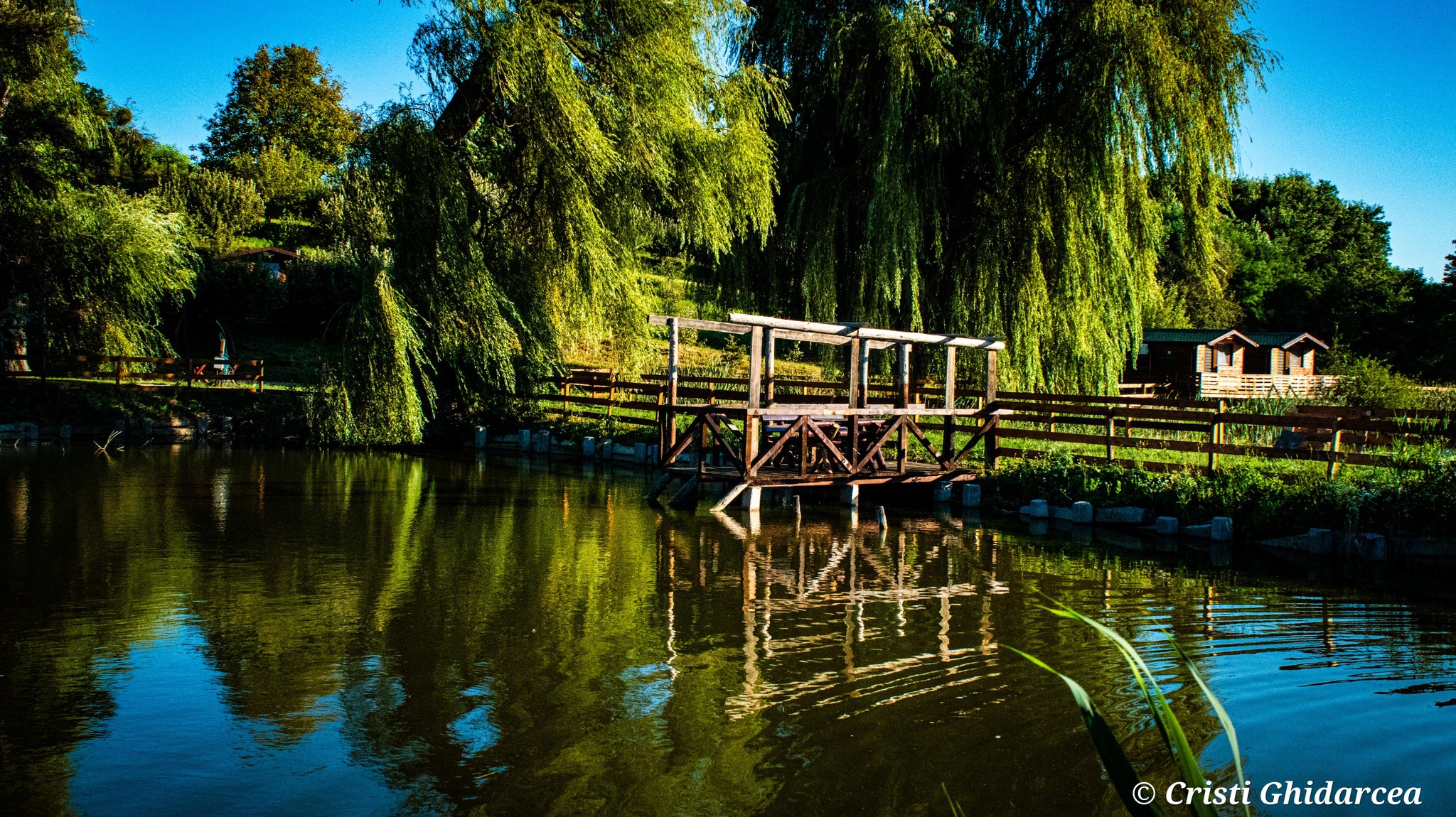 domeniul stejaru 1 (27)